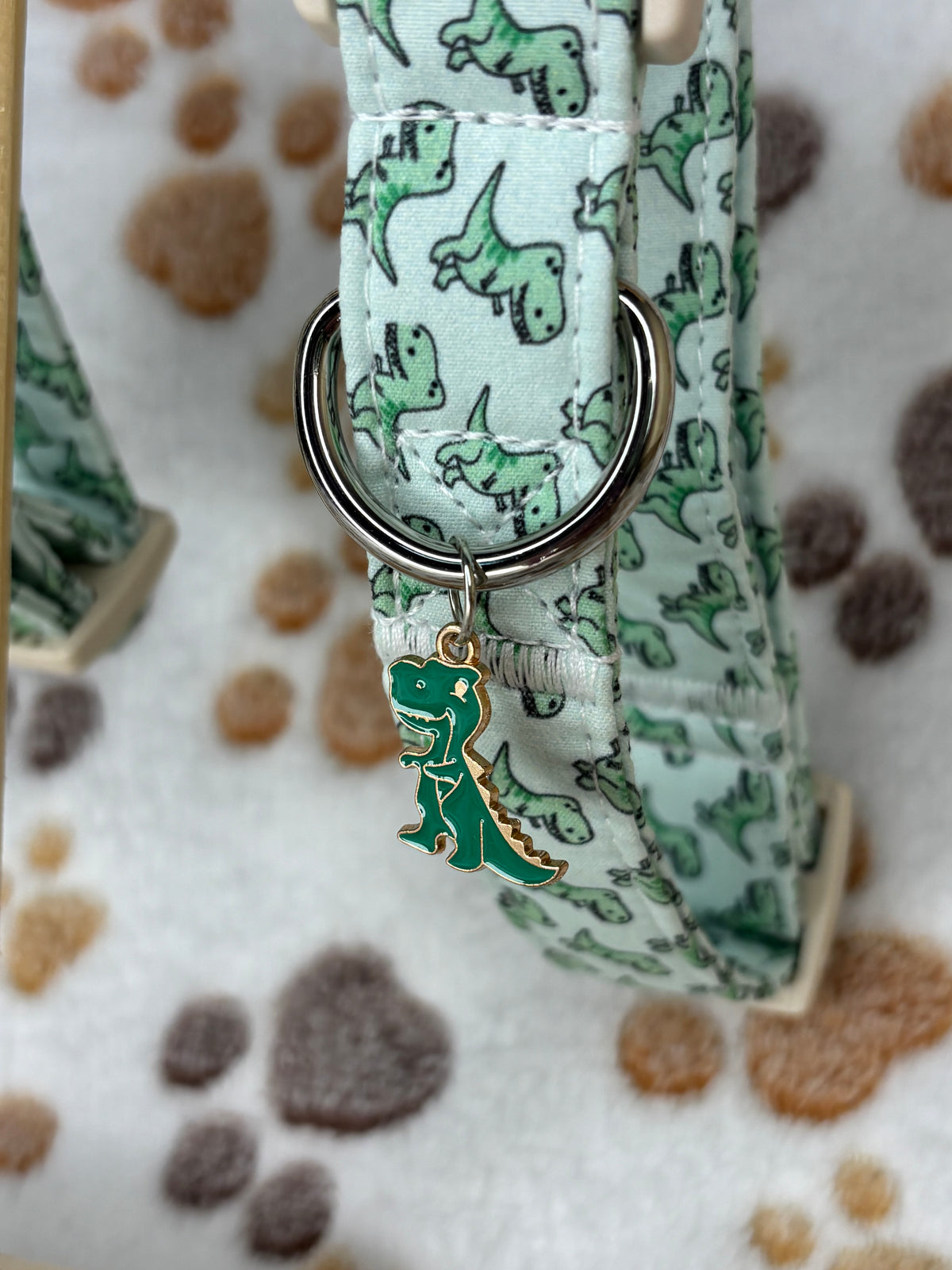 Pet Collar Dino Design