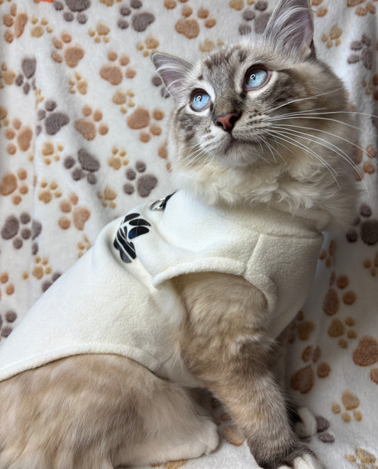 Cat Jumper