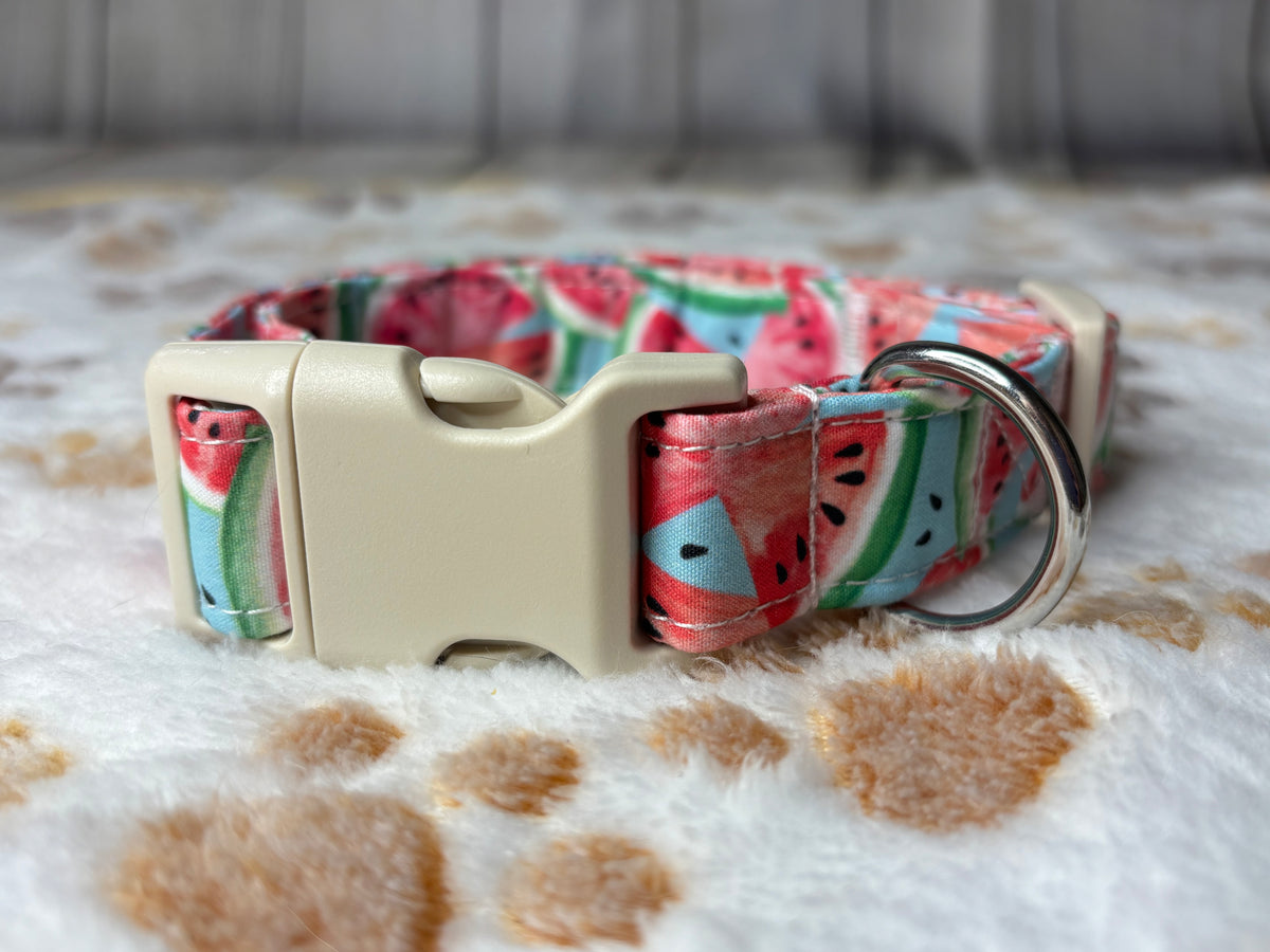 Pet Collar Watermelon Print