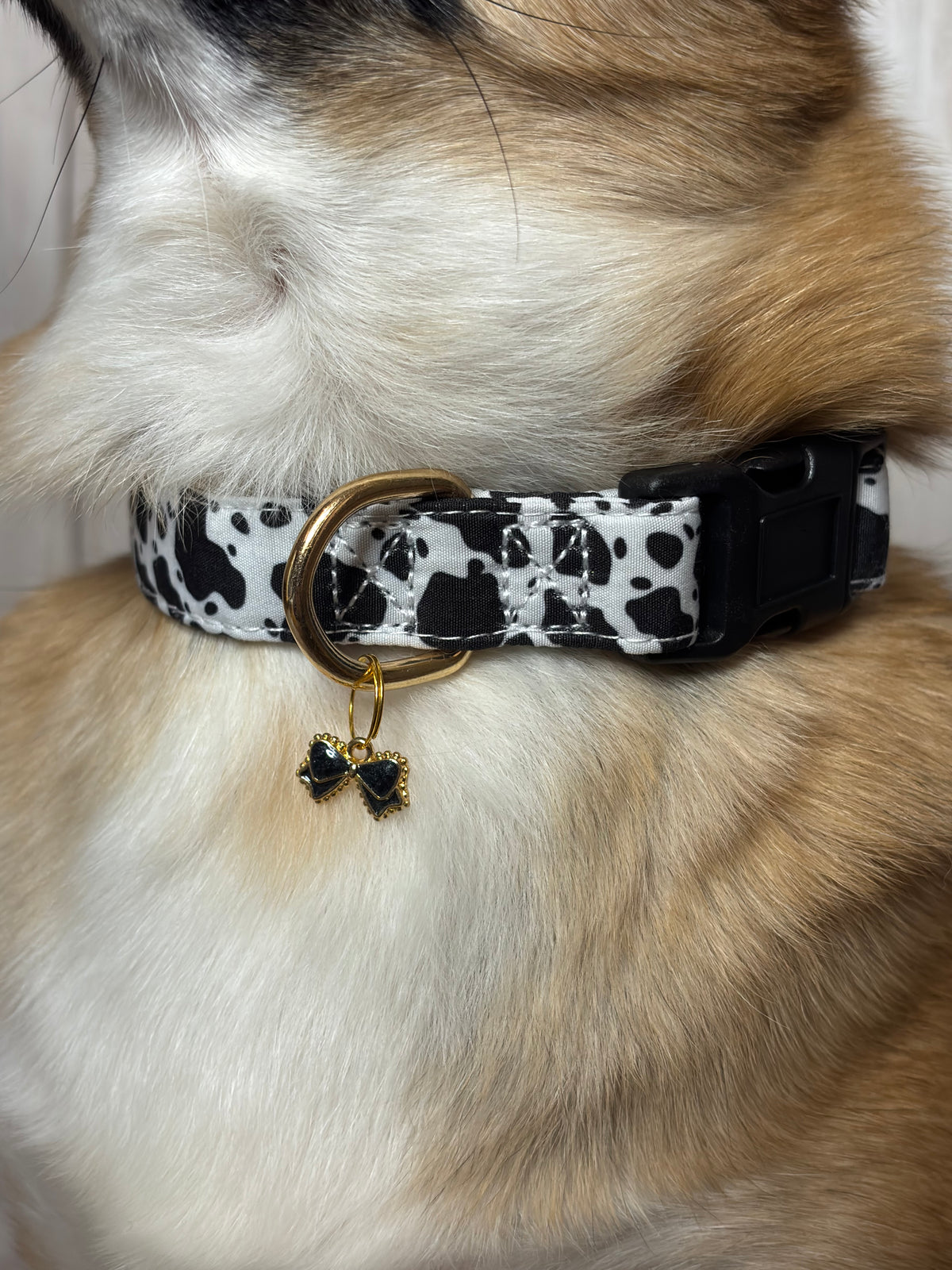 Pet Collar Cow Print Design