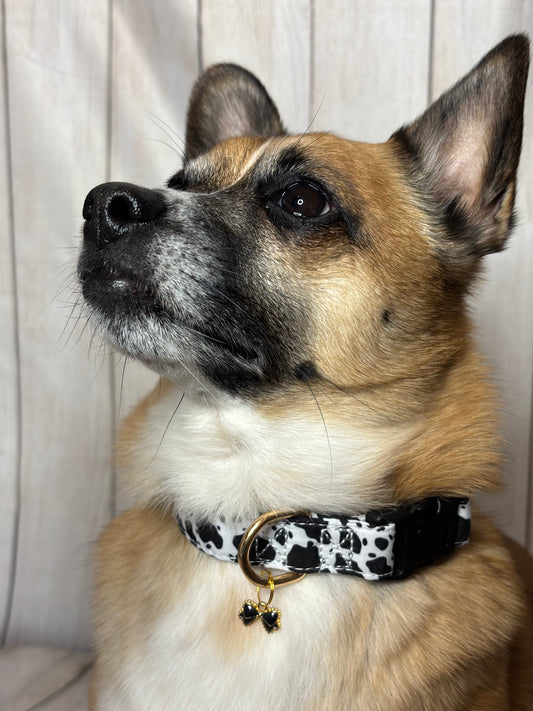Pet Collar Cow Print Design