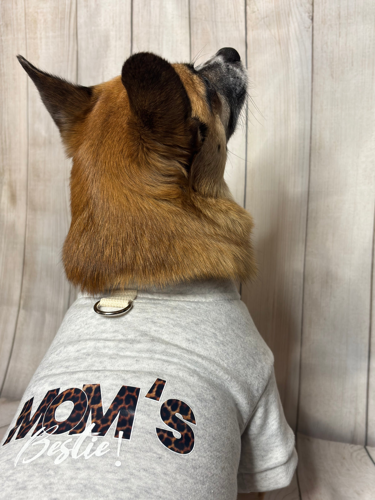 Pet Hoodie