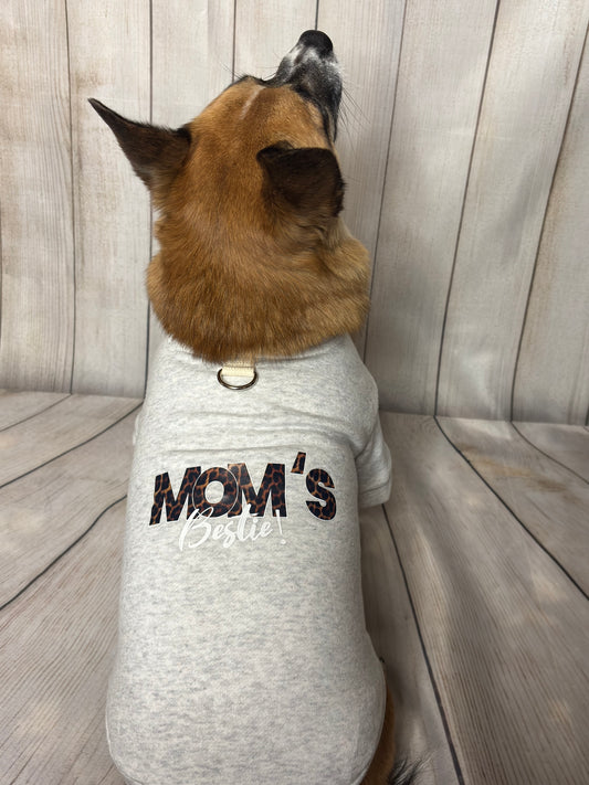 Pet Hoodie