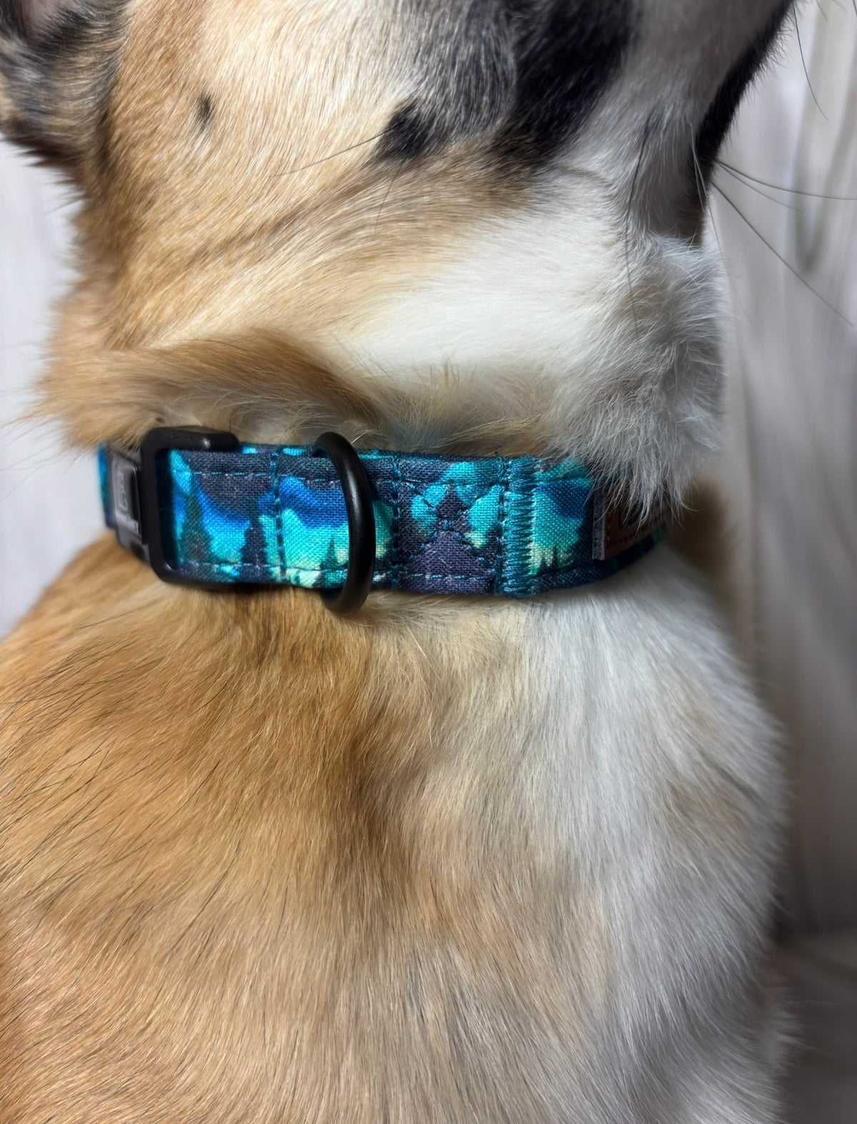 Pet Collar Forest Design