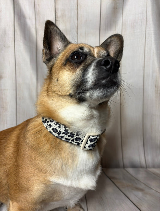 Pet Collar Leopard Print Design