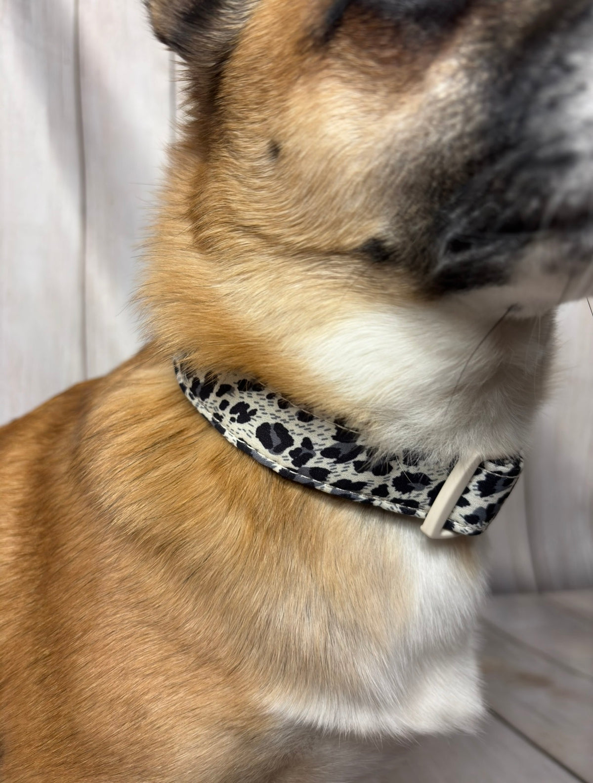 Pet Collar Leopard Print Design